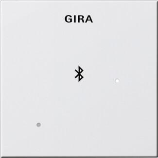 Лицевая панель Gira System 55 для вставки док-станции чисто-белый глянцевый 228803