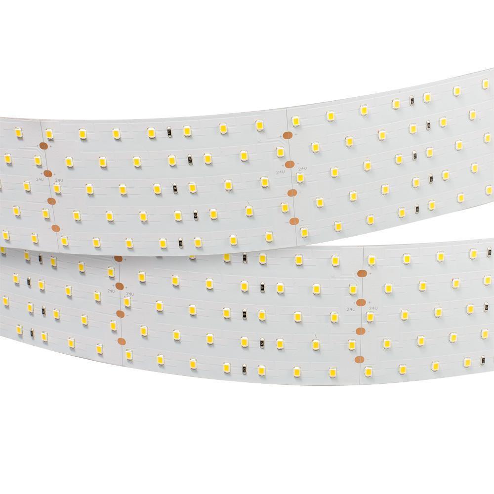 Светодиодная лента Arlight 36W/m 350LED/m 2835SMD холодный белый 2,5M 019083(1) Светодиодная лента Arlight 36W/m 350LED/m 2835SMD холодный белый 2,5M 019083(1)