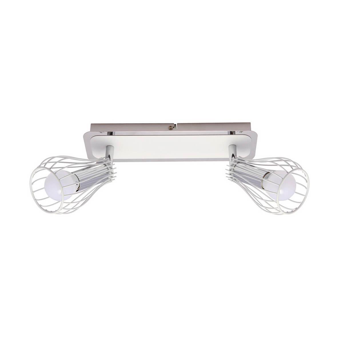 Спот Zumaline Oscar CK170519-2