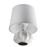 Настольная лампа Lumion Moderni Hama 8145/1T