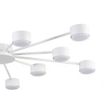 Потолочная люстра Lumion Comfi Torina 8343/12C