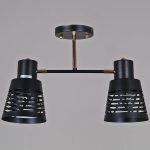 Потолочный светильник Reluce 06074-3.3-02 BK+FG