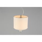 Подвесной светильник APLOYT Mona APL.729.06.01