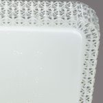 Потолочный светильник Reluce 07197-9.2-48WM