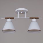 Потолочный светильник Reluce 07594-0.3-02 WG