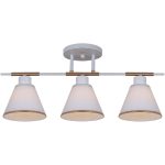 Потолочная люстра Reluce 07594-0.3-03 WG