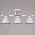 Потолочная люстра Reluce 07594-0.3-03 WG