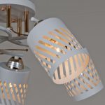 Потолочная люстра Reluce 08235-0.3-05 WT+FG