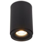 Накладной светильник Simple Story 2065-1CLB