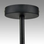 Потолочная люстра Lumion Comfi Emina 8059/4C