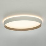 Накладной светильник Citilux Etalon CL750320R