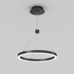 Подвесной светильник Arlight SP-CONGO-CAN-1-R400-24W Day4000 (BK, 120 deg, 230V) 046222