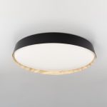 Потолочный светильник Citilux Bonny CL754451G