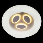 Потолочная люстра Reluce 10008-0.3-80W PLANET