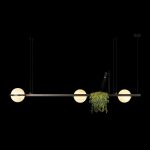 Подвесная люстра Loft IT Jardin 10121/C Dark grey