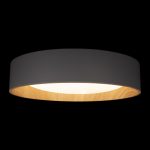 Потолочный светильник Loft IT Coin 10202 Grey