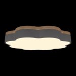 Потолочный светильник Loft IT Axel 10225/36 Grey