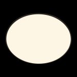 Потолочный светильник Loft IT Brim 10226 Black