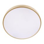 Потолочный светильник Loft IT Flims 10228/A