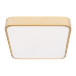 Потолочный светильник Loft IT Flims 10228/C