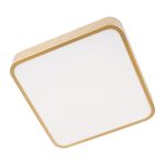 Потолочный светильник Loft IT Flims 10228/C