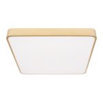 Потолочный светильник Loft IT Flims 10228/D