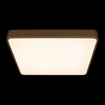 Потолочный светильник Loft IT Flims 10228/D