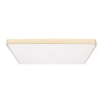 Потолочный светильник Loft IT Flims 10228/E