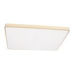 Потолочный светильник Loft IT Flims 10228/E