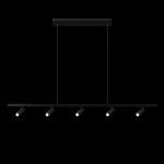 Подвесной светильник Loft IT Sign 10260/5 Black