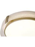 Потолочный светильник Zortes Gerda ZRS.1097.60