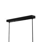 Подвесной светильник Lightera Rudolf LE114L-3B SMART