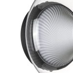 Настенно-потолочный светильник Lightstar Palermo 612017