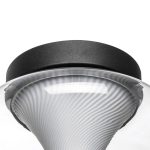 Настенно-потолочный светильник Lightstar Palermo 612017