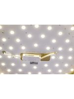 Потолочный светильник Zortes Gabby ZRS.90610.50