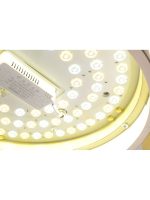 Потолочный светильник Zortes Gerda ZRS.1097.40