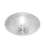 Настенно-потолочный светильник Elvan NLS-509R/1-E27-Cl