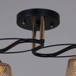 Потолочный светильник Reluce 06087-0.3-02 BK+FG