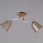 Потолочный светильник Reluce 06003-0.3-02 FG+WT