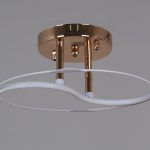 Потолочный светильник Reluce 06003-0.3-02 FG+WT