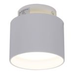 Накладной светильник Reluce 53006-9.5-001IL GX53+LED3W WT
