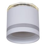 Накладной светильник Reluce 53001-9.5-001LD GX53+LED3W WT