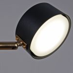 Люстра на штанге Reluce 06660-0.3-06 BK+COP GX53