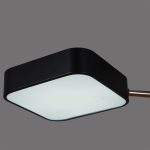 Люстра на штанге Reluce 03360-0.3-05 BK+FGD