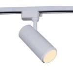 Трековый однофазный светильник Reluce 06650-9.3-LED10/20/30W CCT WT