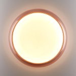 Настенно-потолочный светильник Sonex Color Portman 7778/DLN