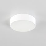 Накладной светодиодный светильник Citilux Тао CL712120N