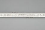 Светодиодная лента Arlight Rtw-pu-b60-12.5mm 5060 029515(2)