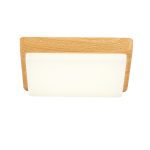 Потолочный светильник EVOLUCE TADDIO SLE200202-01