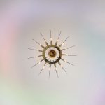 Подвесная люстра ImperiumLoft Baccara 140545-26